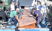 Cảnh sát biển bắt giữ tàu cá vận chuyển 60.000 lít dầu D.O trái phép 