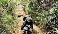 Lương thấp, việc nặng, hàng trăm nhân viên bảo vệ rừng Kon Tum nghỉ việc
