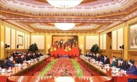 Tổng Bí thư Nguyễn Phú Trọng hội đàm với Tổng Bí thư, Chủ tịch nước Tập Cận Bình