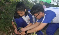 Học sinh hào hứng khi được trải nghiệm hoạt động trồng cây trên núi Cô Tiên. Ảnh: THỤC HIỀN