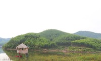 Siêu dự án công viên nghĩa trang Bắc Giang chỉ có một nhà đầu tư nộp hồ sơ