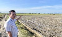 Cánh đồng đất sét kỳ lạ Paley Hamu Trok. Ảnh: CÔNG HOAN