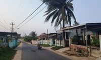 80% đất trồng cây lâu năm sát biển của xã biển Tam Thanh (TP Tam Kỳ, Quảng Nam) đã được người dân bán. Ảnh: Hoài Văn 