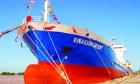 Vinashin từng một thời là tập đoàn lớn nhất trong các tập đoàn nhà nước, với các tàu đóng mới liên tục được hạ thuỷ