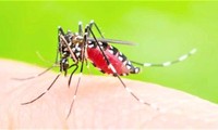 Sốt xuất huyết tăng đột biến, Bình Dương ‘tiêm vắc xin’ cho muỗi