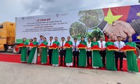 Xuất khẩu lô hàng trái cây sang châu Âu theo hiệp định EVFTA ​
