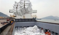 Xuất khẩu lô hàng gạo thơm đầu tiên sang châu Âu theo hiệp định EVFTA