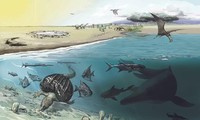 Ly kỳ quái vật biển dài 20m chết trên núi cao khiến nhóm khảo cổ choáng váng