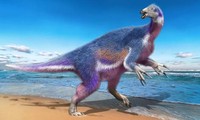 Tìm thấy khủng long &apos;Thần Chết&apos; với bộ vuốt khổng lồ ở Nhật Bản 