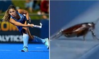 Đang ghi hình VĐV tại Olympic Tokyo lại quay cận cảnh… con gián, anh quay phim bị phê bình