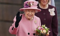 Cung điện Buckingham xác nhận: Nữ hoàng Anh phải ở bệnh viện một đêm sau khi hủy công việc