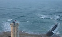 Cảnh báo mùa tắm biển: Nếu nhìn thấy “những con sóng vuông”, bạn cần lên bờ ngay lập tức