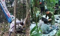 Tại sao người lớn đều thiệt mạng còn 4 trẻ em lại sống sót khi máy bay rơi ở rừng Amazon?
