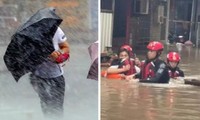 Video bão Talim đổ bộ vào Trung Quốc: Gió dữ dội, cá voi bị đánh giạt vào bờ