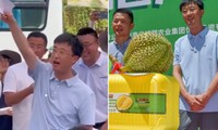 Đấu giá quả sầu riêng nặng gần 7 kg ở Trung Quốc, số tiền bán được gây choáng