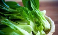 Những người đại kỵ với rau cải, cố tình ăn như &apos;đưa thuốc độc vào người&apos;