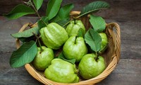 Những người mắc các bệnh sau không nên ăn ổi kẻo 'hại đủ đường'