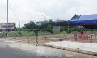 Đất nền ế ẩm, môi giới đi bán nước mía và buôn rau 