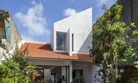 Nhà cấp 4 gây &apos;sốt&apos; khi kết hợp giữa truyền thống và hiện đại