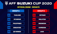 Đội tuyển Việt Nam chuẩn bị bảo vệ cúp vô địch AFF Cup 2020.