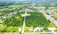 Bình Định lập đoàn thanh tra việc giao đất, lấn chiếm đất rừng tại huyện Vĩnh Thạnh