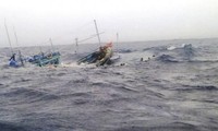 The ship sank, 14 Binh Dinh fishermen were rescued by a foreign cargo ship