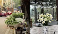 Tháng Tư Hà Nội hoa loa kèn dịu dàng nở rộ, Gen Z thưởng hoa từ nhà ra phố