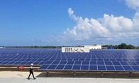 Thủ tướng chỉ đạo sau phản ánh của báo chí về cụm dự án điện mặt trời Lộc Ninh