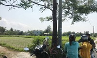 Giá đất ở huyện Hòa Vang (TP Đà Nẵng) tăng gấp nhiều lần sau khi "cò" tung nhiều thông tin thất thiệt. 