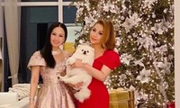 &apos;Choáng ngợp&apos; với cơ ngơi của ca sĩ Việt giàu nhất thế giới có tài sản 35.000 tỷ đồng