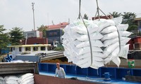 Nhiều DN xuất khẩu gạo bức xúc với cách vận hành xuất khẩu gạo vừa qua, gây thiệt hại cho DN