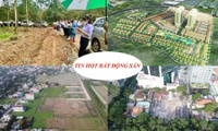 Thêm chiêu trò tạo sốt đất ảo; vùng ven Hà Nội đấu giá đất từ 1 triệu đồng/m2