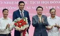 Cục Trưởng Cục quản lý nhà làm Chủ tịch HĐTV Tổng công ty Xi măng Việt Nam