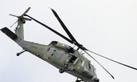 Brunei tăng lực với trực thăng Black Hawk