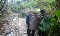 Theo lãnh đạo tỉnh Quảng Bình, để xảy ra vụ việc trên là trách nhiệm của BQL Vườn Quốc gia Phong Nha - Kẻ Bàng