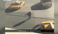 Video nghi phạm khủng bố New York cầm súng chạy khỏi xe