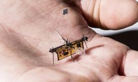 Robot côn trùng chạy bằng laser cất cánh