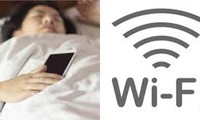 Tác hại khôn lường của sóng wifi với sức khỏe 