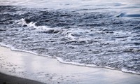 Đà Nẵng: Nước biển đổi màu đen ngòm sau Tết Nguyên đán