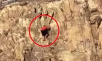 Clip: Leo núi mạo hiểm, nam thanh niên rơi từ độ cao 30m xuống 