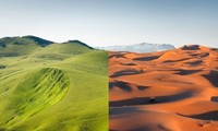 Điều gì xảy ra nếu sa mạc Sahara phủ kín cây xanh?