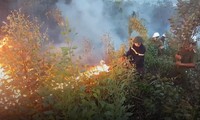 50 ha rừng keo cháy dữ dội ở Phú Yên