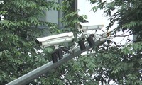 Bắc Ninh dùng 300 camera xử phạt vi phạm giao thông
