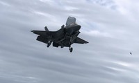 Chim sống trên tàu sân bay Anh, đe dọa tiêm kích F-35