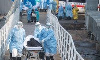 Vì sao tỷ lệ người chết do virus corona ở Vũ Hán cao?