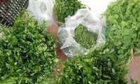 Kỳ lạ loại rau có giá đắt hơn thịt ở Việt Nam