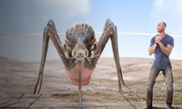 Chuyện gì xảy ra nếu loài muỗi có kích thước bằng con người?