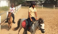 Học cưỡi ngựa ở Sài Gòn