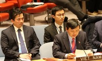 Đại sứ Đặng Đình Quý phát biểu tại phiên thảo luận. (Ảnh: BNG)