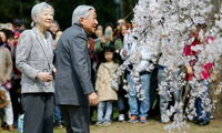 Nhà Vua Akihito và Hoàng hậu. (Ảnh: CNA)
